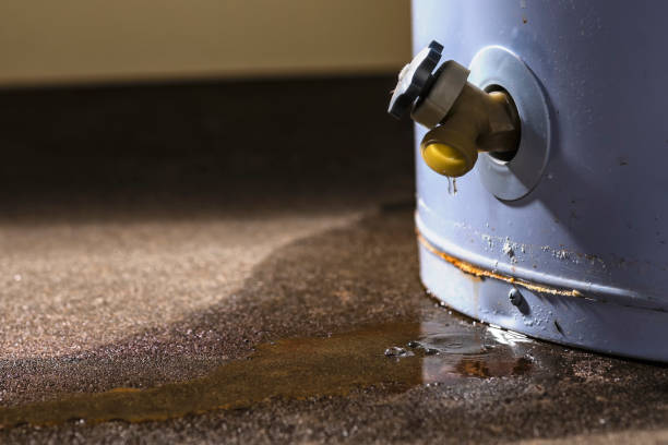24/7 water damage repair in Pinecrest, FL