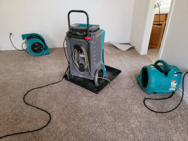 Best Water damage restoration near me  in Pinecrest, FL