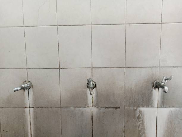 Water damage restoration process in Pinecrest, FL