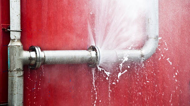 Best Basement water damage restoration  in Pinecrest, FL