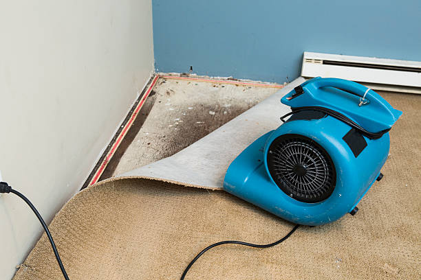  Pinecrest, FL Water damage restoration Pros